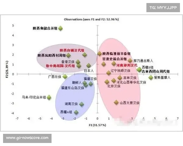 法甲联赛非洲杯球员表现分析及其对球队影响的深度探讨 法甲联赛非洲杯球员表现分析及其对球队影响的深度探讨